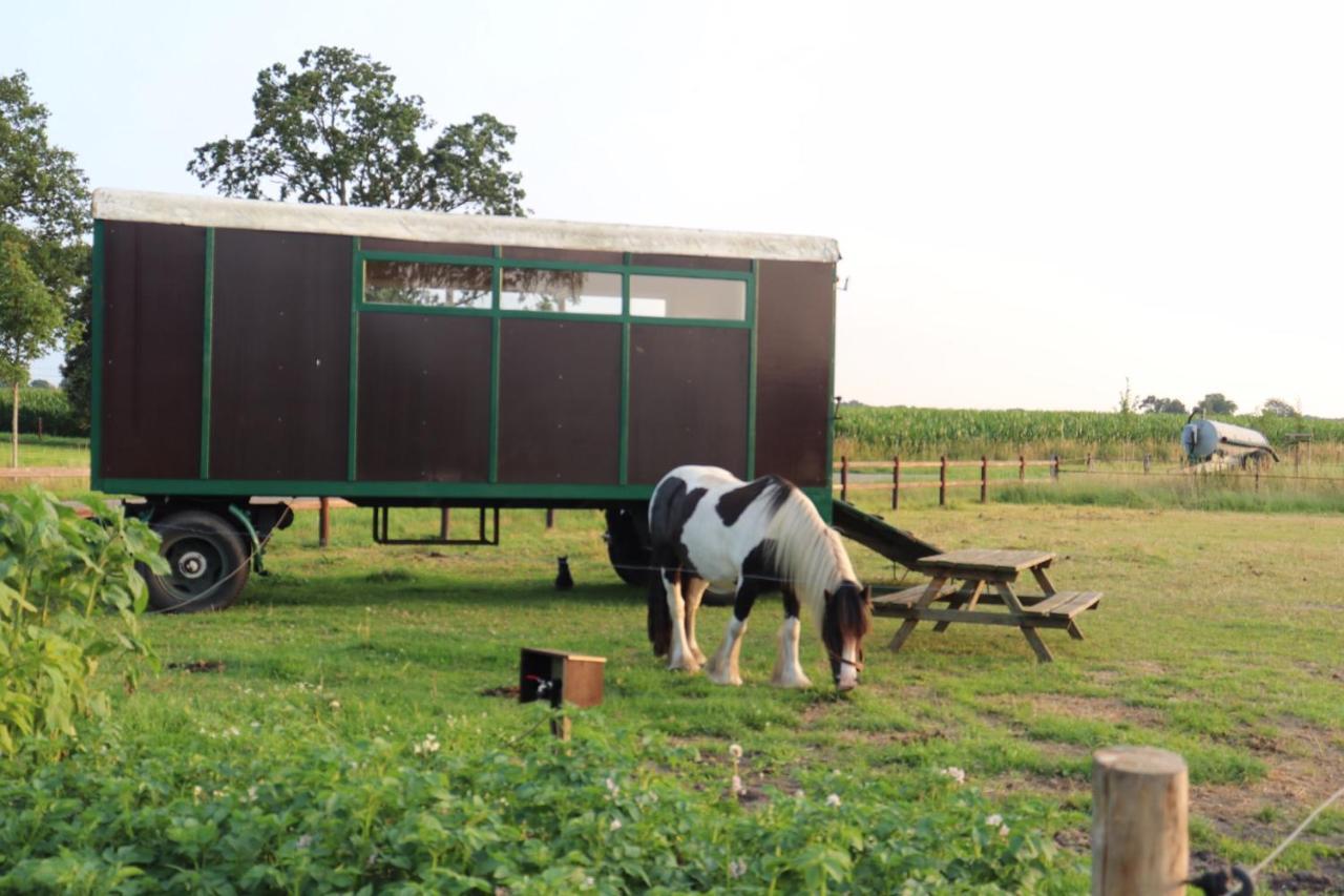 فندق Slapen Tussen De Paarden Essen المظهر الخارجي الصورة